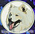 Samoyed Embroidery Patch - Click for More Information