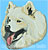Samoyed Portrait BT2361 - Balboa Collection - Click Picture for Details