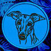  Embroidered Patch for Whippet Lovers - Click to Enlarge