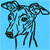 Whippet Portrait #2 - Graphic Collection - Click Picture for Details