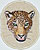 Jaguar Embroidery Patch - Cream