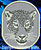 Jaguar Portrait #1 Embroidery Patch - Click for More Information