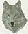 Grey Wolf Portrait HD#2 - High Definition Collection - Click Picture for Details