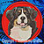 Bernese Mountain Dog Embroidery Patch - Red