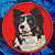 Border Collie Embroidery Patch - Red