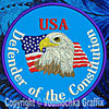 Defender of the Constitution Patriotic Embroidery Patch for Patriotic Americans - Click to Enlarge